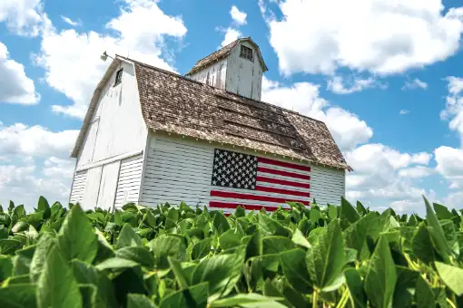 Barn with American flag in field of crops