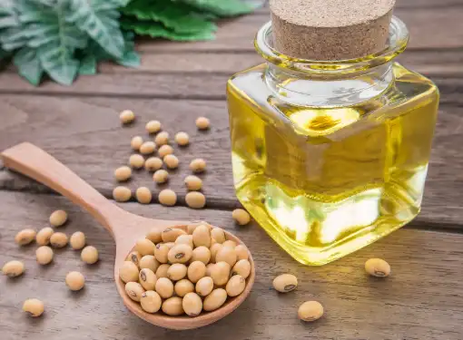 Soybeans with a bottle of soybean oil on a table